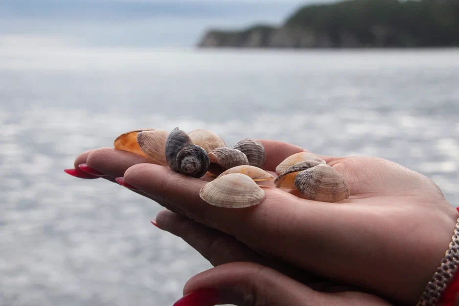 Жительницы Благовещенска хотят получить в подарок от Деда Мороза отпуск
