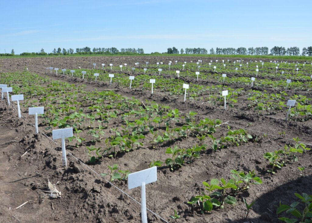 Методическая комиссия приняла опыты учёных Дальневосточного ГАУ