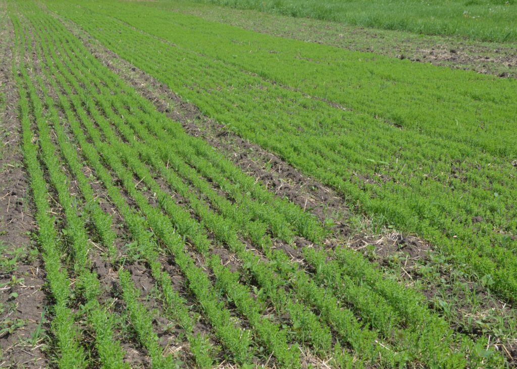 Методическая комиссия приняла опыты учёных Дальневосточного ГАУ