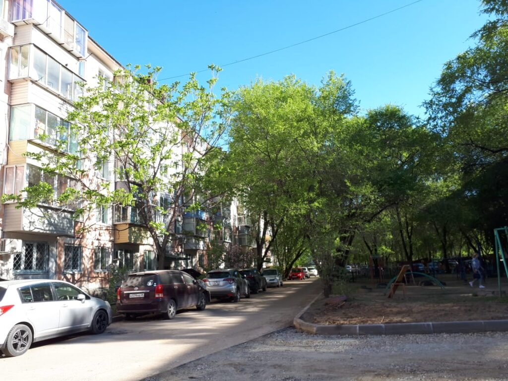 Фото: Амур.инфо