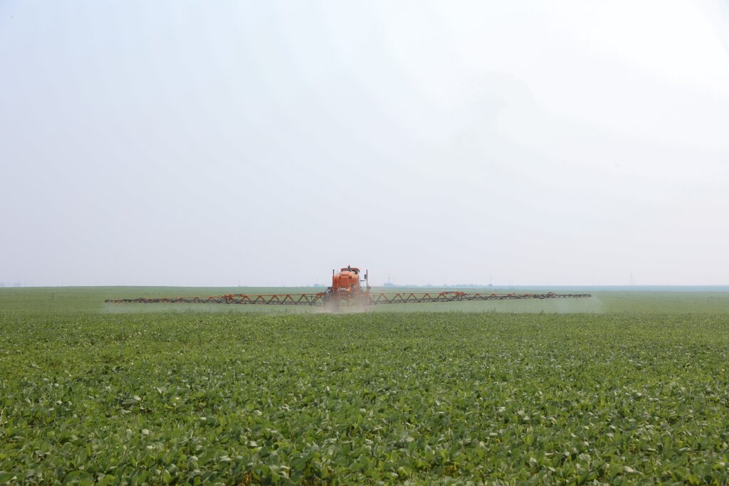 правительство Амурской области