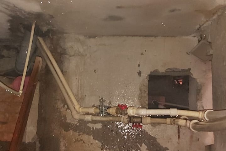 Фото: Амур.инфо