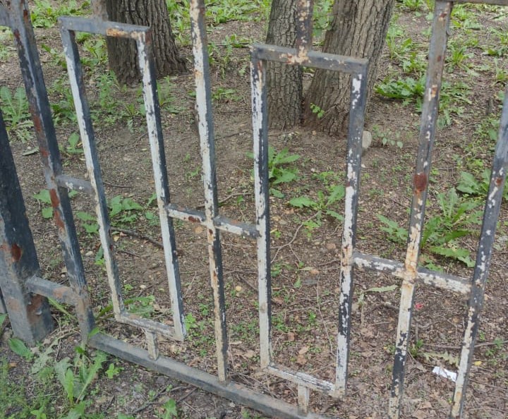 Фото: Амур.инфо