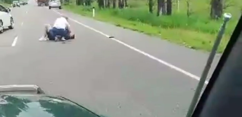 телеграм-канал «dpskontrol_28rus» (скриншот с видео)