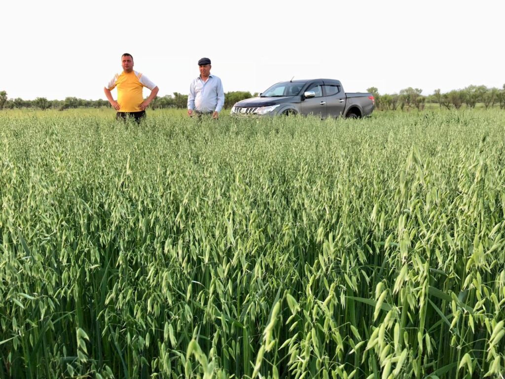 «Я человек деревни»: Максим Шелихан – аграрий в четвертом поколении
