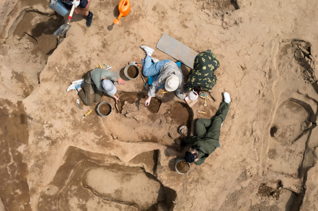 Археологические раскопки