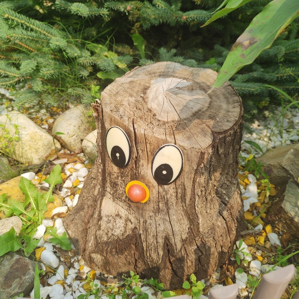 дача, пень, сруб