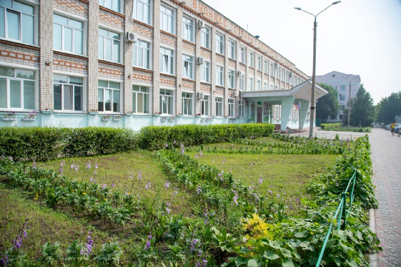 Вьюны и хосты украсили благовещенскую улицу