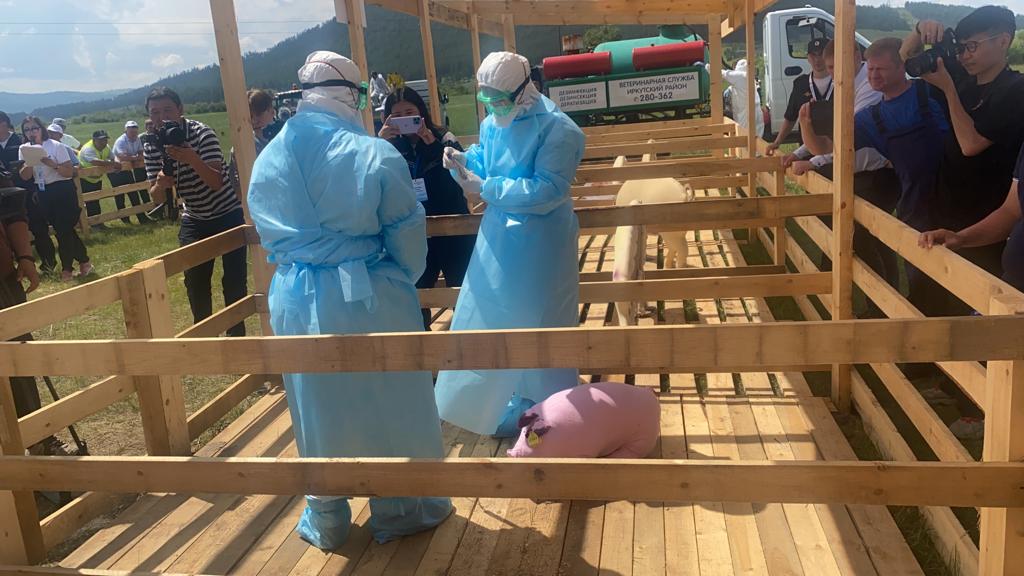 управление ветеринарии Амурской области