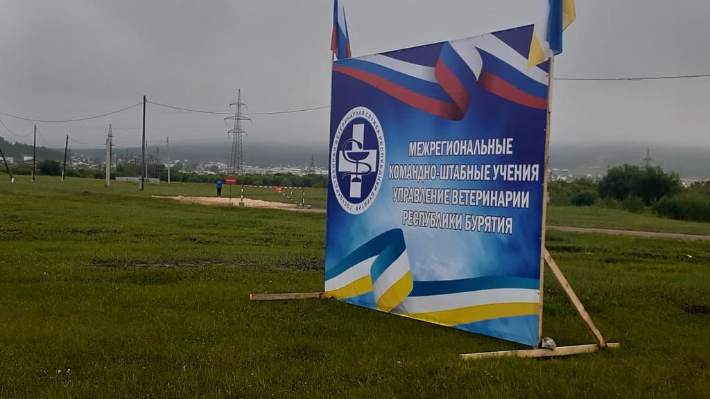 управление ветеринарии Амурской области