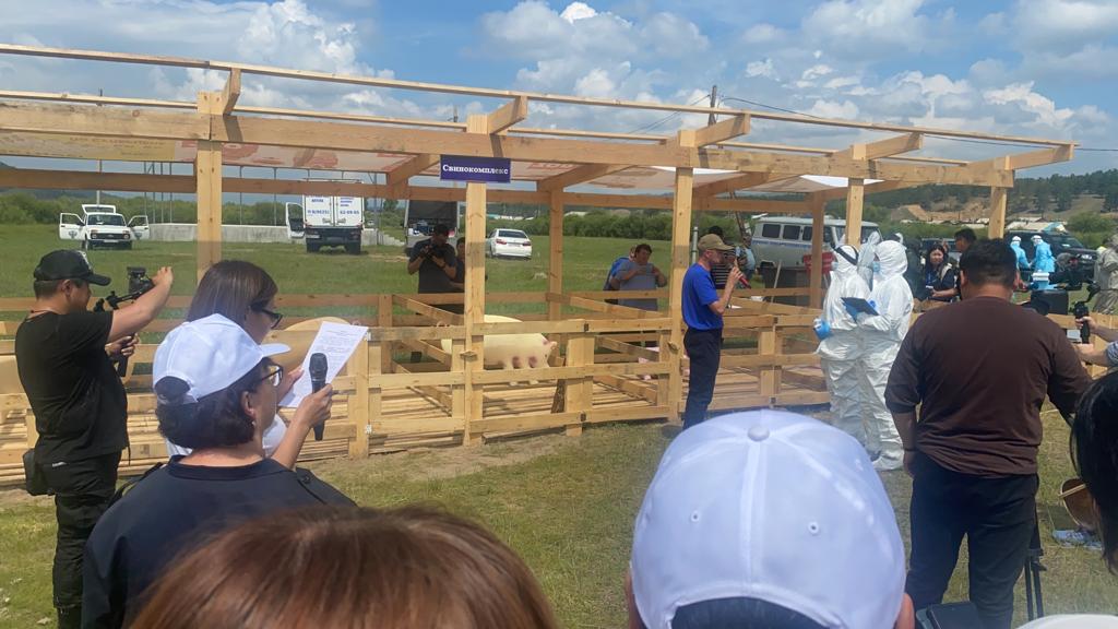 управление ветеринарии Амурской области