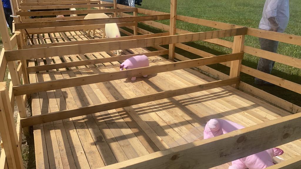 управление ветеринарии Амурской области