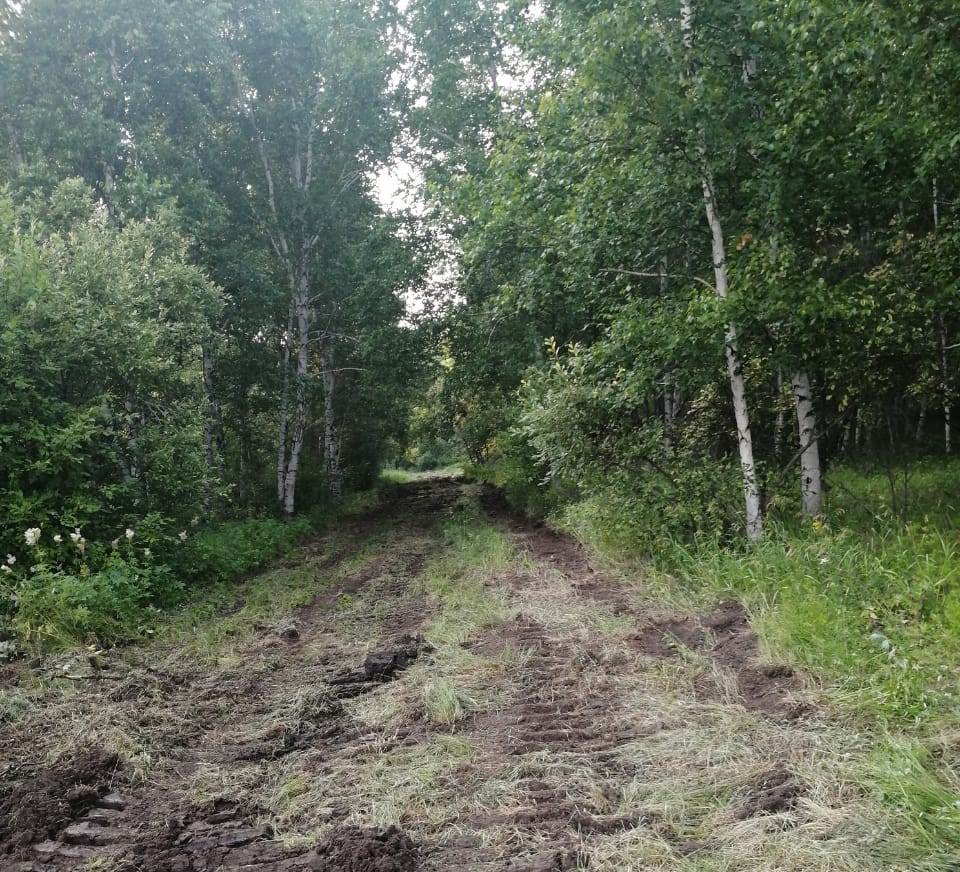 Амурский фермер помог односельчанам с дорогой на погост