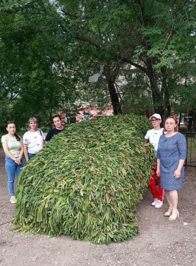 Благовещенские активисты занялись военной маскировкой
