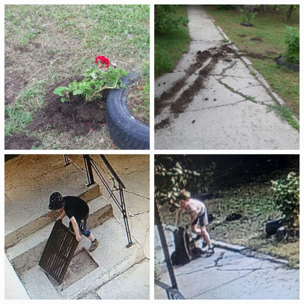 Воришки-цветочницы и юные вандалы: камеры в Амурской области продолжают фиксировать негодников