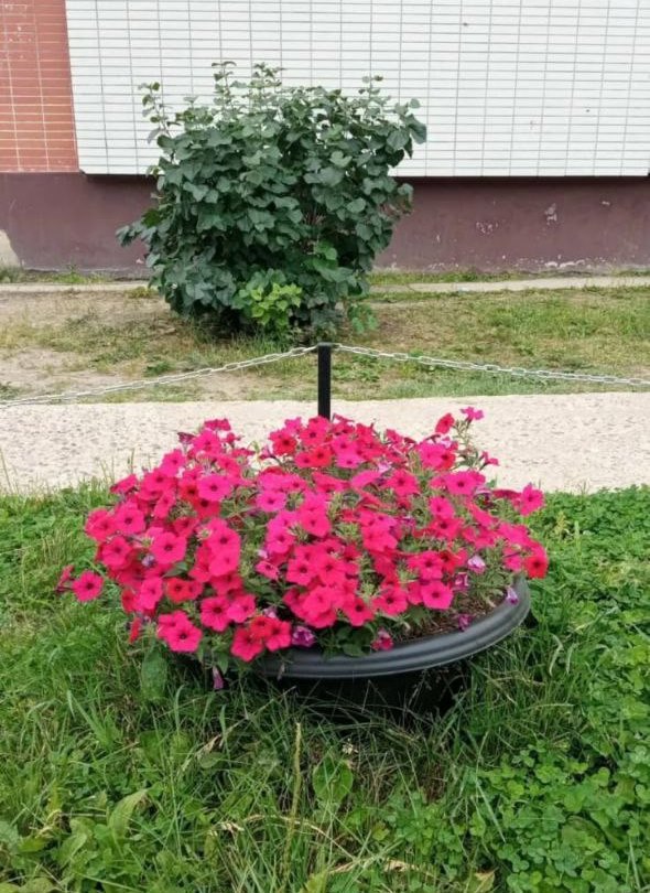 Благовещенцы благоустраивают двор на тайване за счет проектов и конкурсов