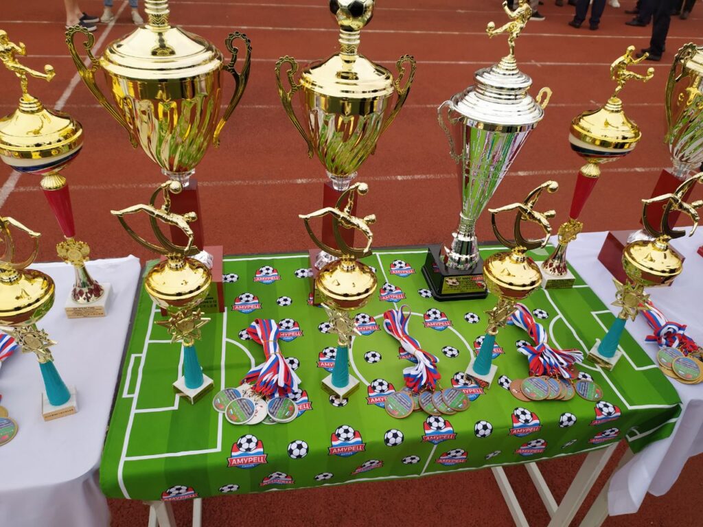 II российско-китайские дружественные матчи по футболу в Благовещенске