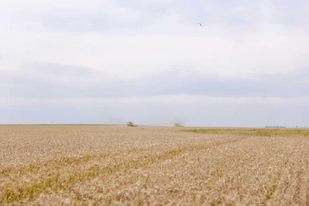 Губернатор в Константиновском районе