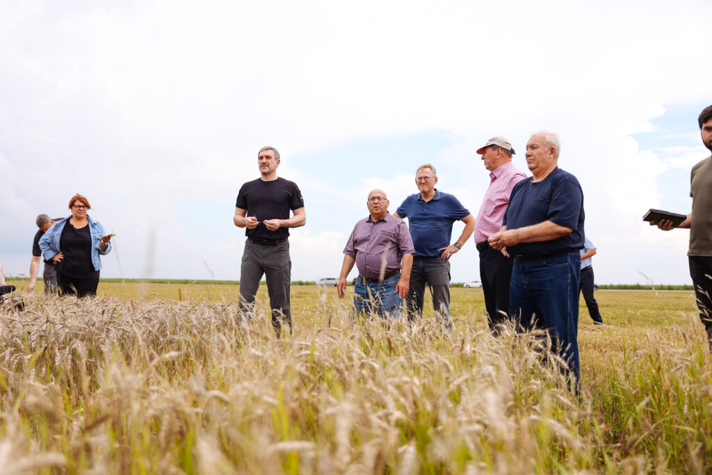 Губернатор в Константиновском районе