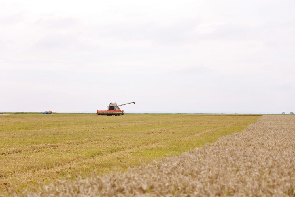 Губернатор в Константиновском районе