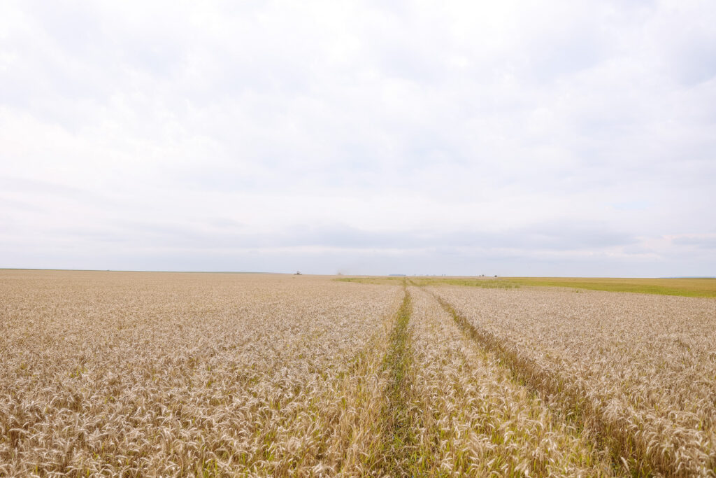 Губернатор в Константиновском районе