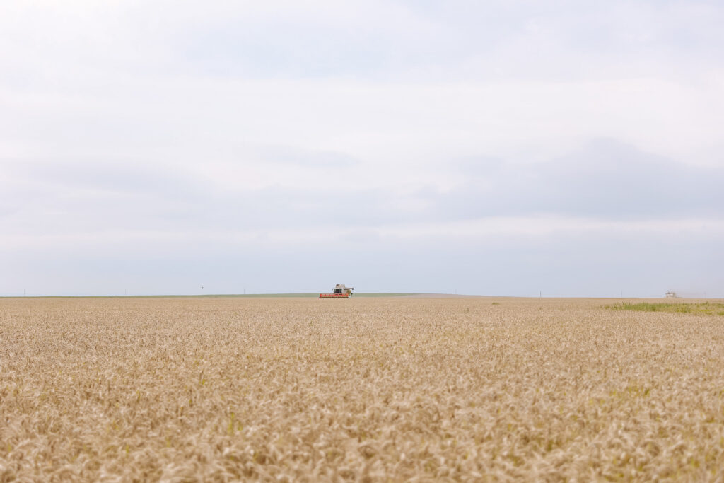 Губернатор в Константиновском районе