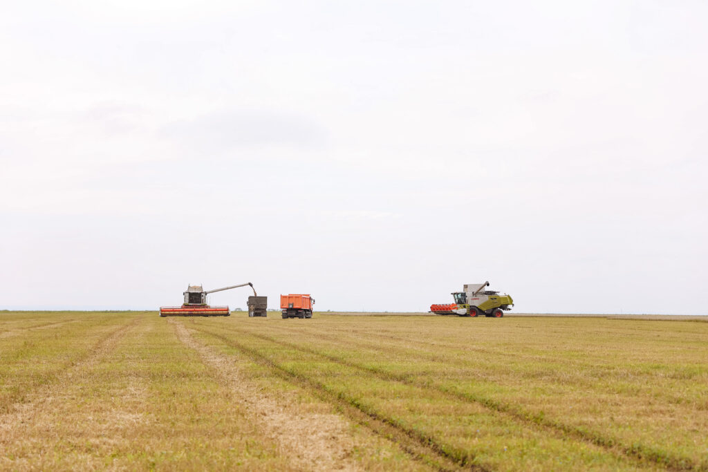 Губернатор в Константиновском районе