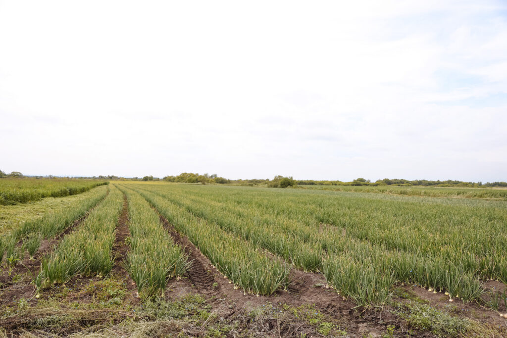 Губернатор в Константиновском районе