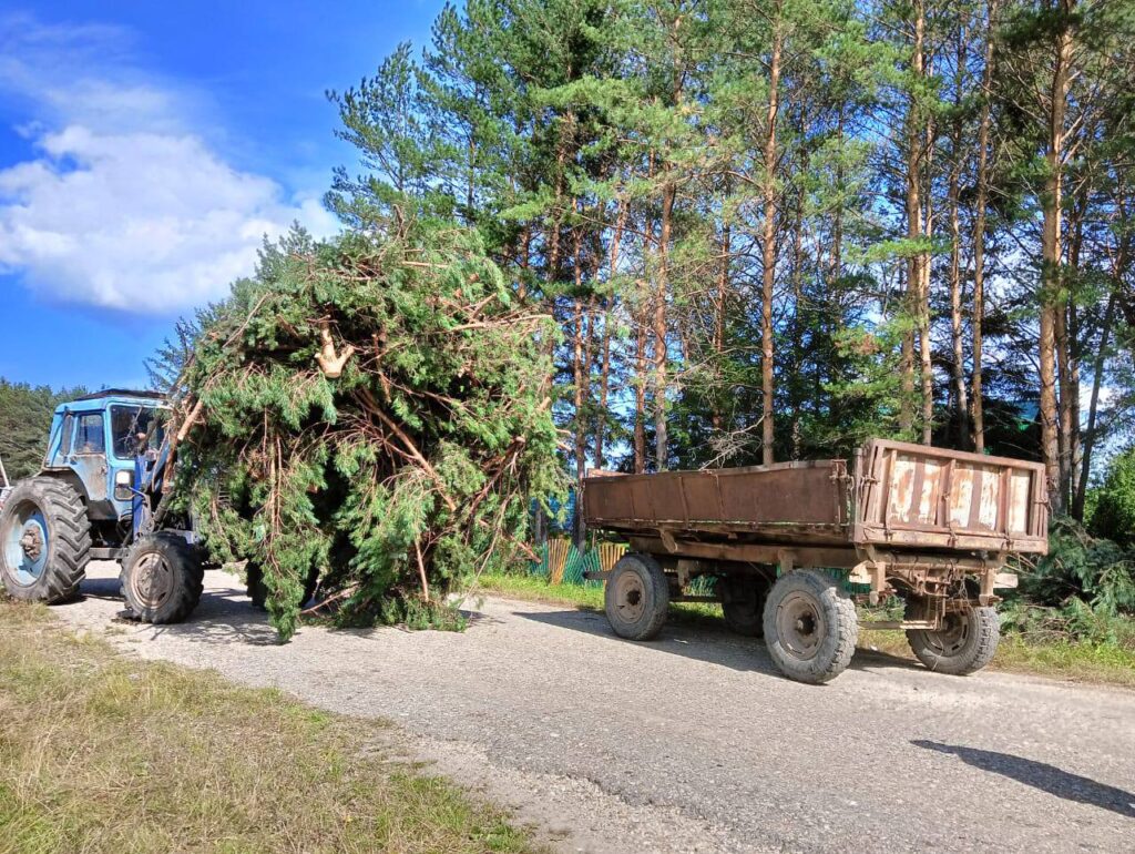 В амурском селе ликвидируют последствия урагана