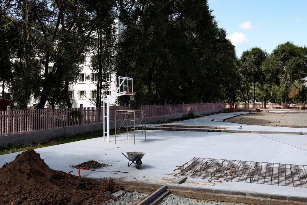 правительство Амурской области