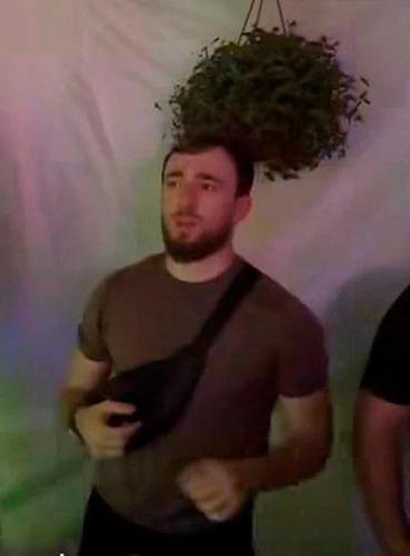 соцсети, свадьба Султана Лугачева