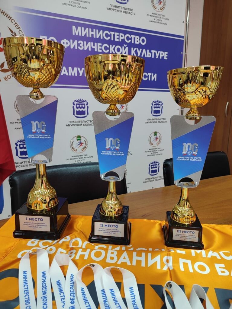 министерство по физической культуре и спорту Амурской области