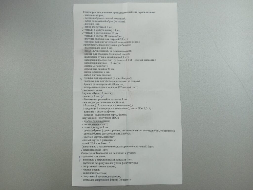 Почти за всё переплатила: как корреспондент  Амур.инфо сына-первоклассника в школу собирала