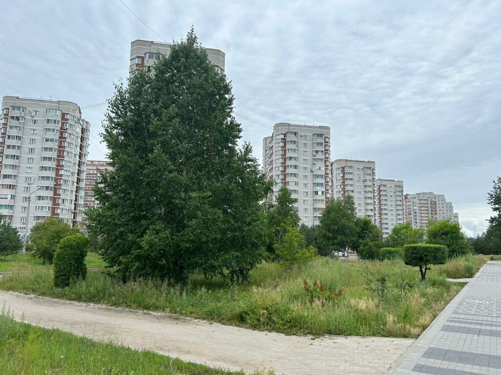 #Вопрос к власти: когда трава будет ниже благовещенцев?