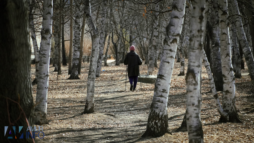 Доступно каждому: амурчанам рассказали о лучшем лекарстве от стресса