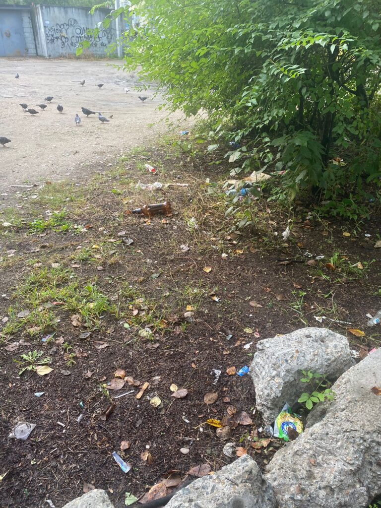 «Разве приятно идти в школу по помойке?»: благовещенка жалуется на мусор