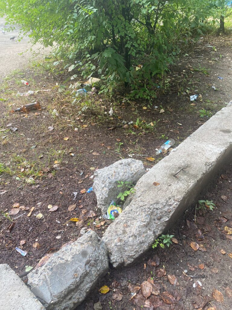 «Разве приятно идти в школу по помойке?»: благовещенка жалуется на мусор