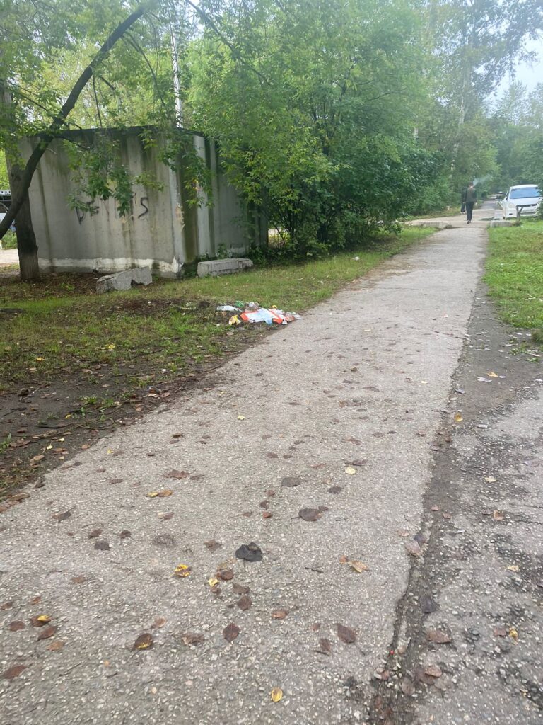 «Разве приятно идти в школу по помойке?»: благовещенка жалуется на мусор