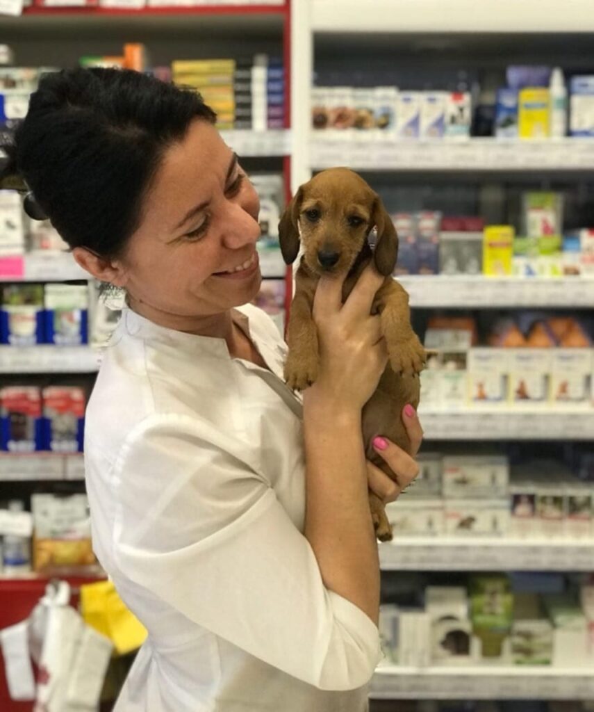 щенок, ветеринар