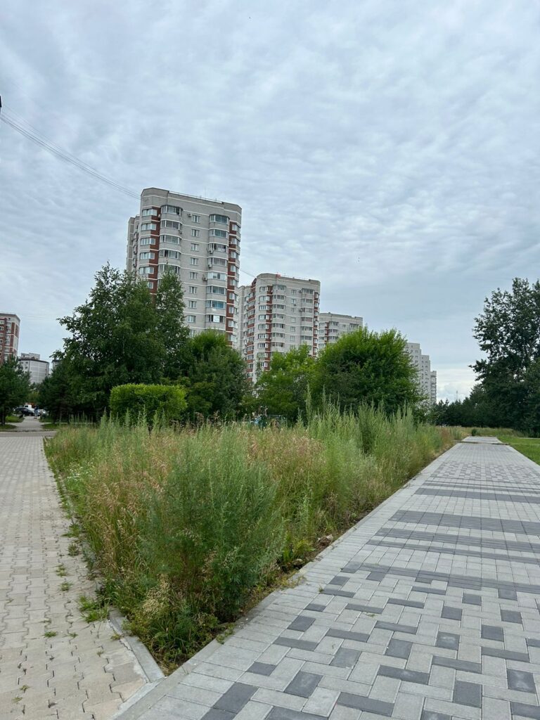 #Вопрос к власти: когда трава будет ниже благовещенцев?