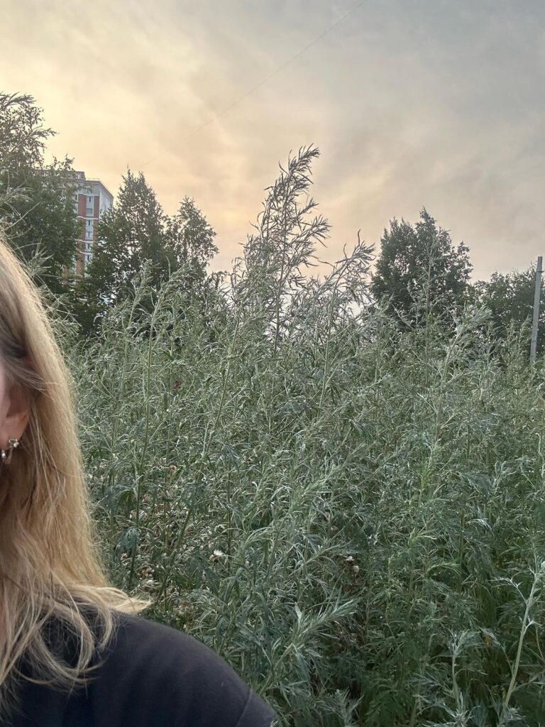 #Вопрос к власти: когда трава будет ниже благовещенцев?