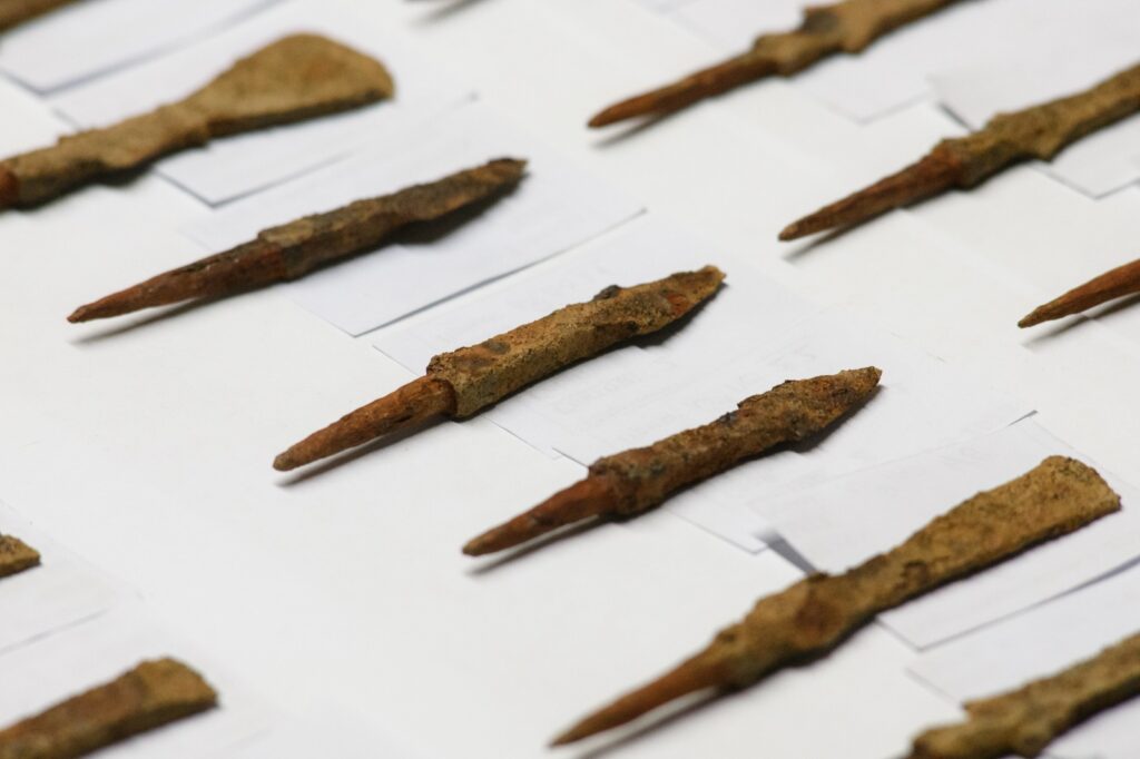 Фото: ЦСН Амурской области