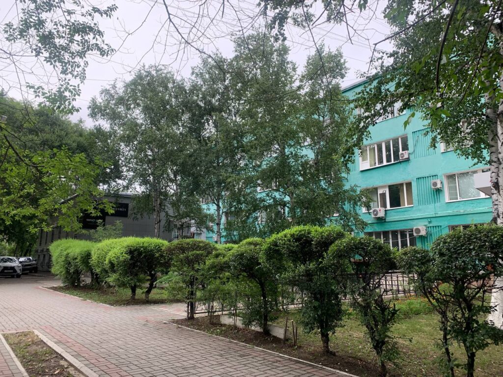 Как проектный институт в Благовещенке нашел садовника