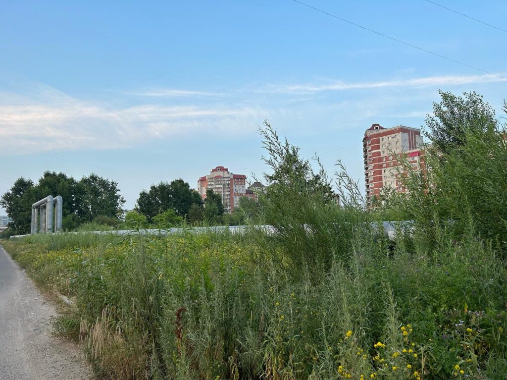 #Вопрос к власти: когда трава будет ниже благовещенцев?