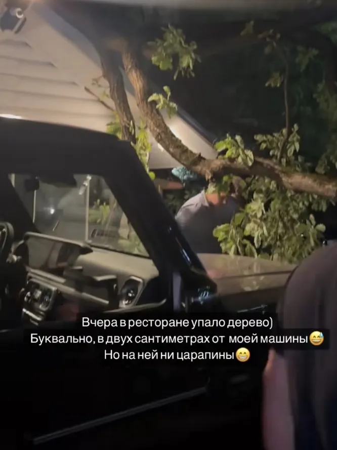 соцсети, Люся Чеботина