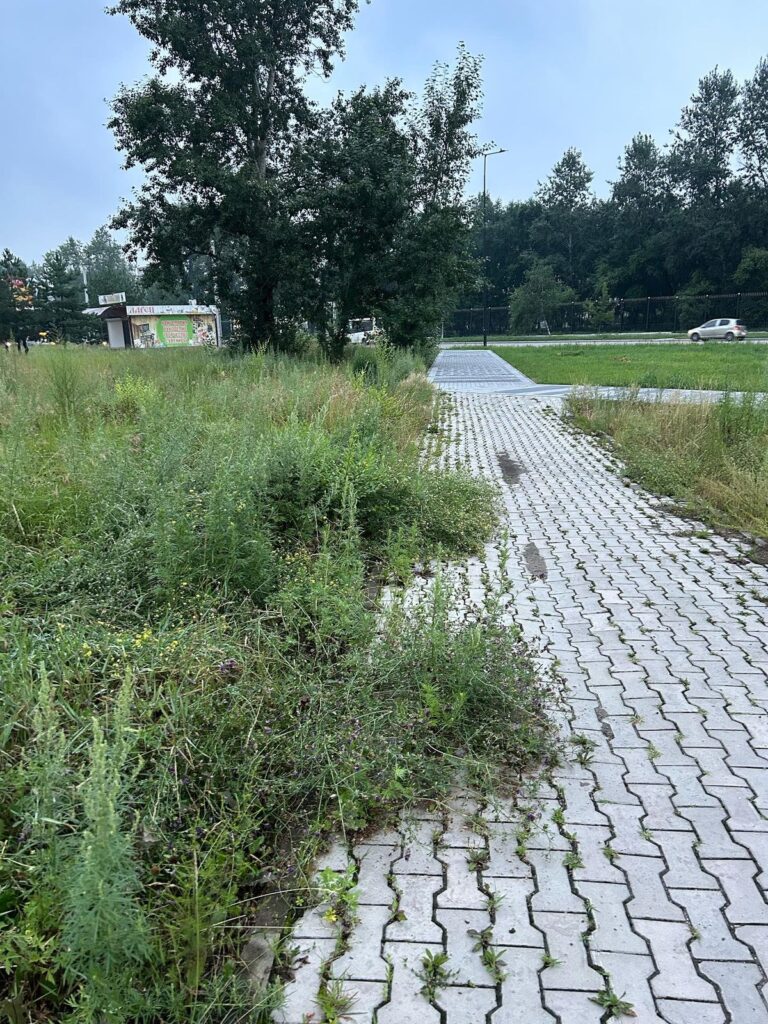 #Вопрос к власти: когда трава будет ниже благовещенцев?