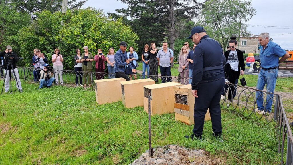 телеграм-канал Валентины Ольшевской
