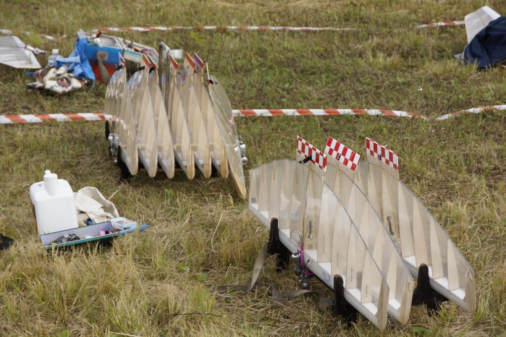 Фото: минспорт Амурской области