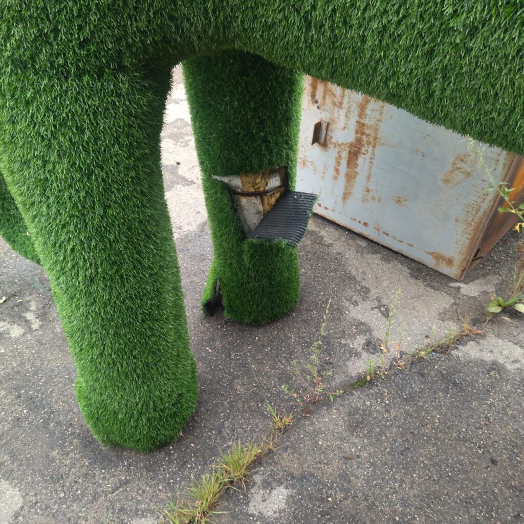 Фото: мэрия Благовещенска