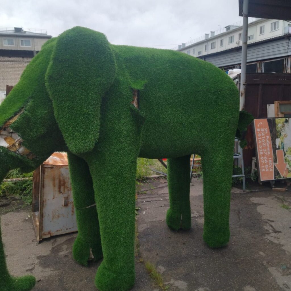 Фото: мэрия Благовещенска